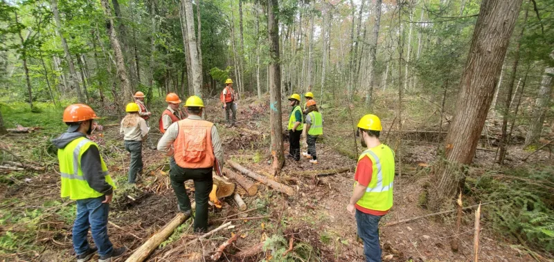 New leader joins Bay College forestry, agriculture programs